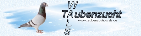 Taubenzucht Wals
